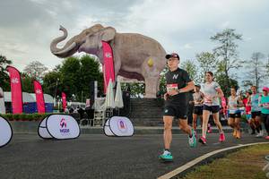 BIB: 
                            <button type="button" onclick="openModal(26528546)" class="btn btn-primary btn-sm float-right btn-popup" data-toggle="modal" data-target=".modal-high-quality">
                        <i class="fas fa-shopping-cart"></i> Add to Cart
                    </button>
                                            <button type="button" onclick="isThisMe(26528546, true)" class="btn btn-success btn-sm float-right btn-popup btn-isme hidden" data-toggle="tooltip" data-placement="bottom" title="นี่คือรูปของคุณใช่ไหม คลิกที่นี่เพื่อเอาเข้าอัลบั้ม">
                        <i class="fas fa-plus"></i> Add to album
                    </button>
                    <button type="button" onclick="isThisMe(26528546, false)" class="btn btn-warning btn-sm float-right btn-popup btn-isnotme hidden">
                        <i class="fas fa-ban"></i> Remove from album
                    </button>